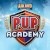 Pup Academy izle