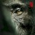 Chimp Empire izle
