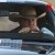 Tex Mex Motors izle