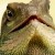 The Hidden Lives of Pets izle
