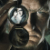 A Series of Unfortunate Events izle