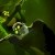 Splinter Cell: Deathwatch izle