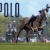 Polo izle