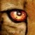 Our Universe izle