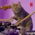 Cat People izle