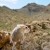 Tiny Creatures izle