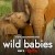 Wild Babies izle