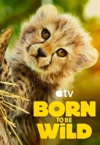 Born to be Wild